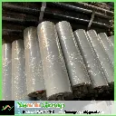 CON LĂN BỊ ĐỘNG - NEMIN GROUP